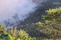 Fogo na Serra da Bocaína