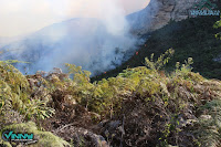 Fogo na Serra da Bocaína