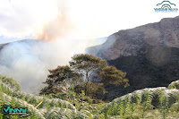 Fogo na Serra da Bocaína