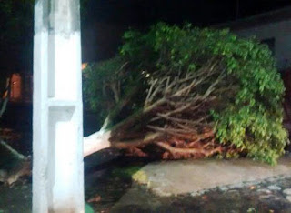 raio incendio tanhacu vinny publicidade 072B252832529