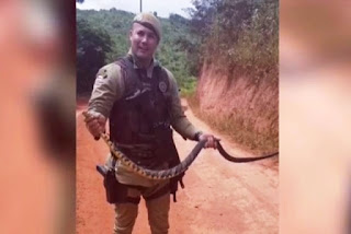 Policiais capturam cobra