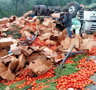 Caminhão carregado com tomates