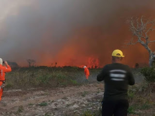 Queimada atinge região do gerais