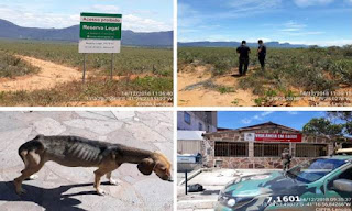 Cippa Lençóis em Mucugê e Ibicoara