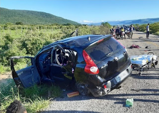 Carro com família capota