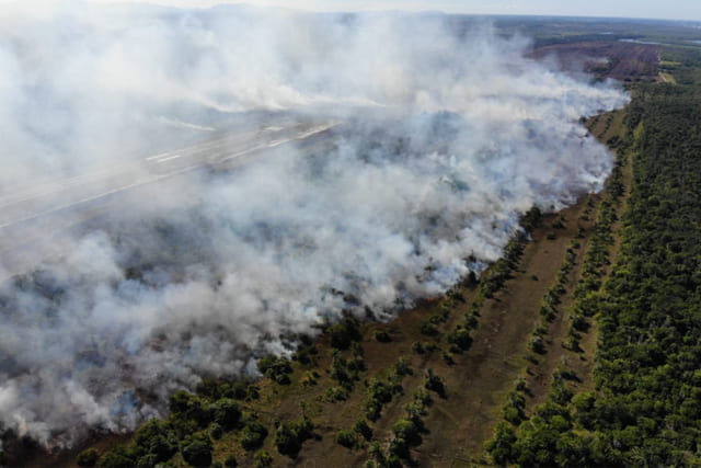 Bombeiros monitoram incêndios que atingem Chapada e Sul da Bahia