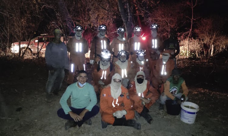 Depois de 12 dias, bombeiros conseguem controlar incêndio na zona rural de Ibotirama