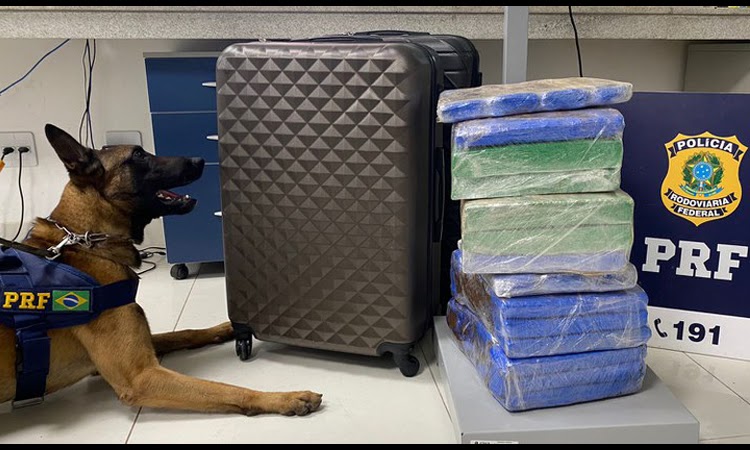 Polícia encontra mais de 31 kg de maconha em ônibus de turismo no Sudoeste da Bahia