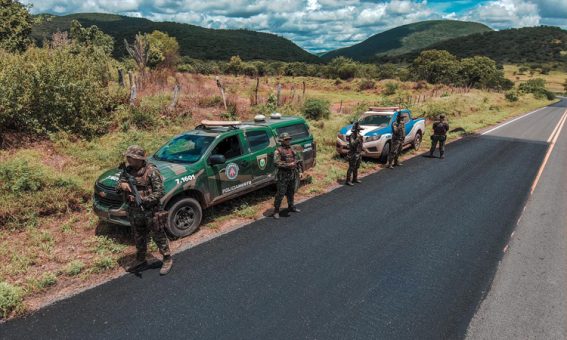 Companhia Ambiental da PM destrói fornos e apreende carvão na Chapada Diamantina