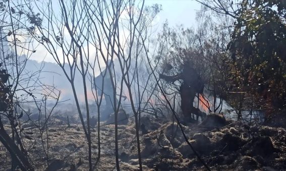 Incêndio em serra na Chapada Diamantina é controlado