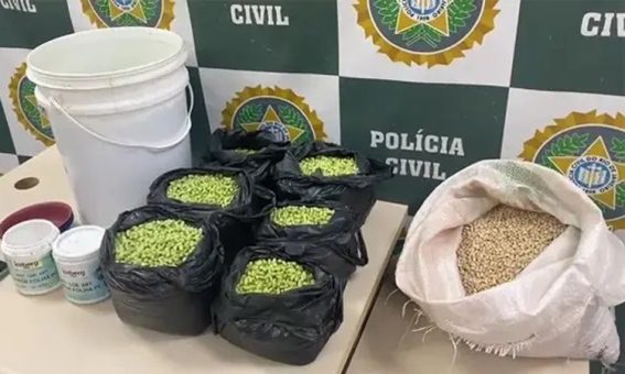 Homem é preso por tingir feijão de verde para vender mais caro