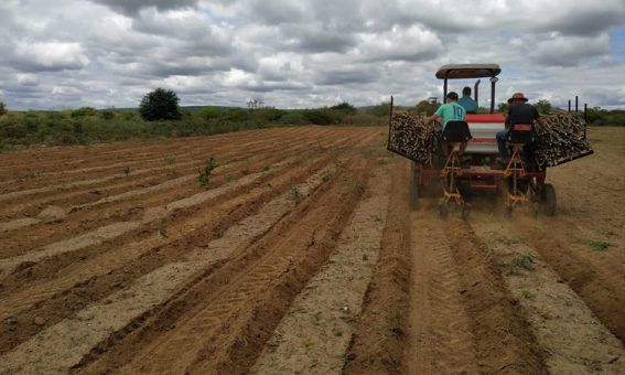 Plantadeira de mandioca fortalece produção da agricultura familiar em Condeúba