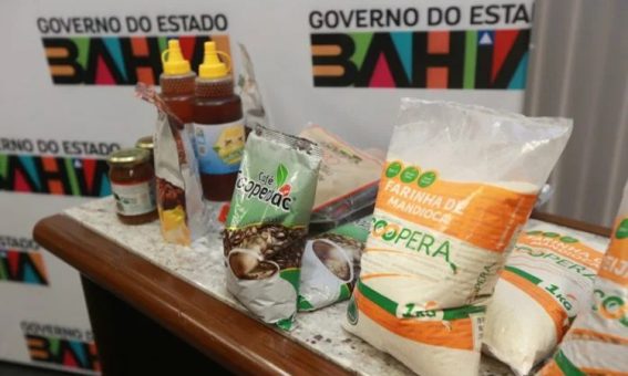 Governo do Estado discute estratégias para garantir compra de alimentos da agricultura familiar para a merenda da rede