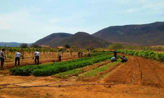 IF Baiano abre 120 vagas para cursos técnicos em Guanambi