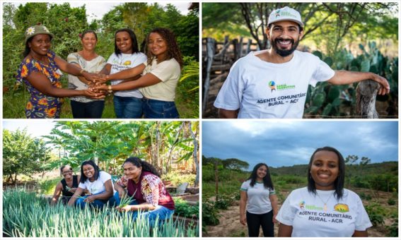 Jovens prestam serviços de assistência técnica em comunidades rurais da Bahia