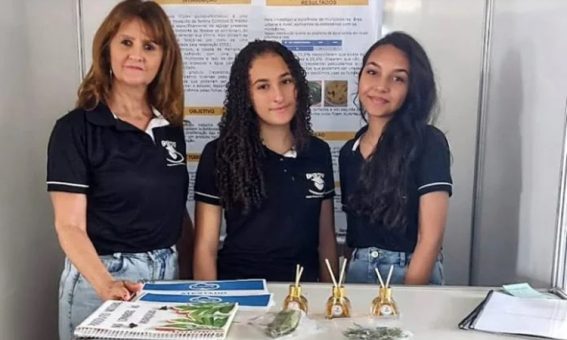 Jovens baianas criam aromatizador natural que combate muriçocas