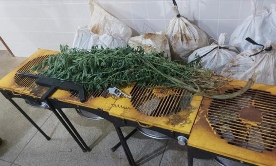 Polícia apreende 12kg de maconha na região da Chapada Diamantina