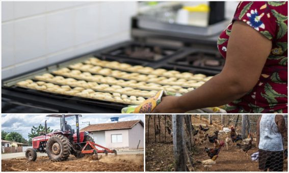 Subsolagem amplia a produção e a renda de famílias Quilombolas na Chapada Diamantina