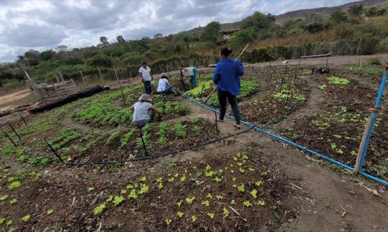 Sudoeste baiano avança no desenvolvimento econômico a partir do rural