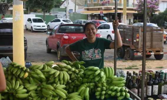 Feiras agroecológicas no território Irecê contam com produtos orgânicos certificados