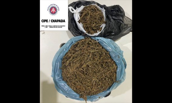 Operação policial na Chapada Diamantina resulta na apreensão de maconha