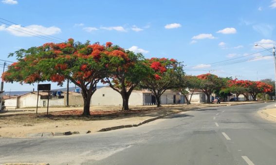 Primavera começa às 3h50 deste sábado (23)