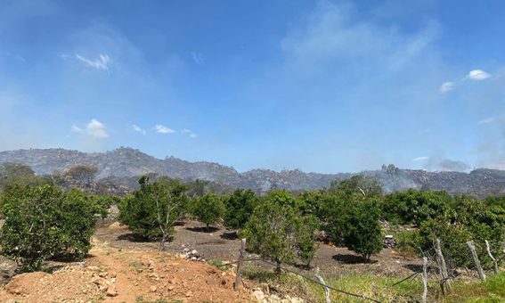 Brigadistas e Bombeiros debelam incêndio em Rio de Contas na Chapada Diamantina