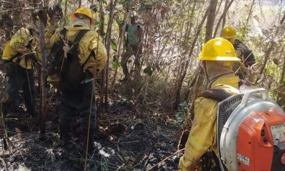 Tempestade de raios desencadeia incêndio próximo à Cachoeira Encantada em Itaetê