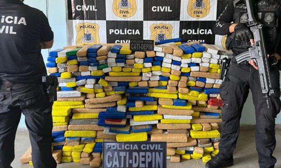 Polícia Civil apreende 600 kg de maconha na BR-030