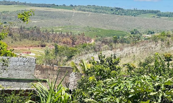 Voluntários combatem incêndio em Ibicoara, na Chapada Diamantina, diante de onda de calor pelo Brasil