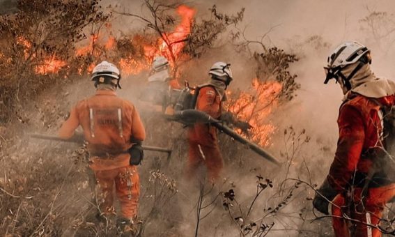 Bombeiros e brigadistas controlam incêndio florestal na área de proteção ambiental na Chapada Diamantina