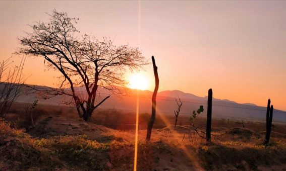 Bahia enfrenta a maior seca desde 1980 e Faeb clama por ajuda