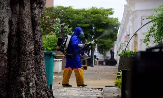 Anagé, Ibicoara, Iramaia, e Vitória da Conquista estão entre as cidades com surto de dengue