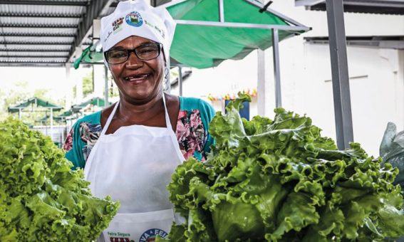 Garantia-Safra autoriza pagamento para mais de 216 mil agricultores familiares baianos