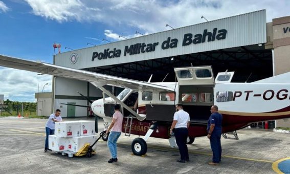 Municípios começam a receber vacinas contra dengue nesta terça-feira (2), após redistribuição