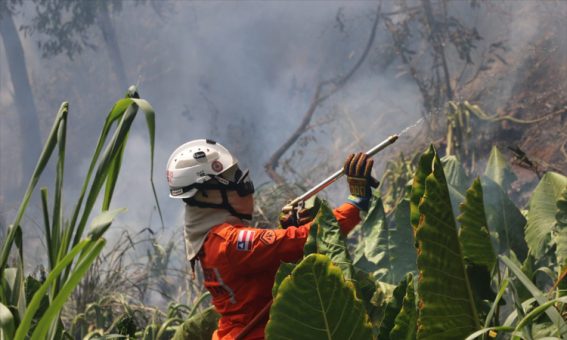 Bombeiros reforçam combate e debelam 422 incêndios florestais na Bahia