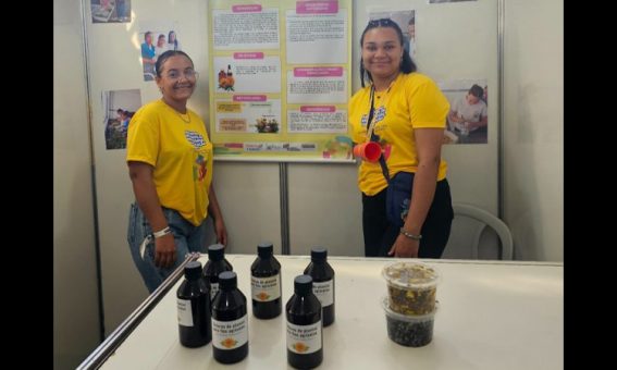 Estudantes da Chapada Diamantina desenvolvem tintura para fins agrícolas à base de cravo-de-defunto