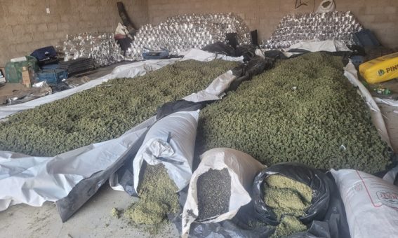 PM e PF apreendem 2,5 toneladas de maconha na região do Sudoeste da Bahia