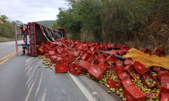 Carreta transportando carga de manga tomba na BR-116 em Jaguaquara