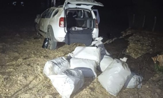 Polícia prende motorista envolvido no transporte de 80 kg de maconha em Tanhaçu