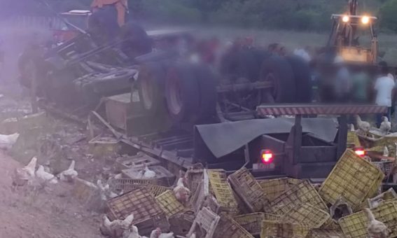 Motorista morre após carreta carregada de galinhas tombar em Tanhaçu