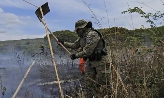 Dois homens são presos em flagrante por incêndio florestal em Érico Cardoso