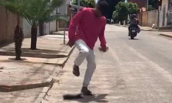 Homem é preso em Guanambi após vídeo de maus-tratos a gato viralizar