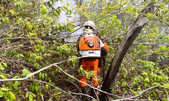 Bombeiros combatem incêndio florestal na Chapada Diamantina