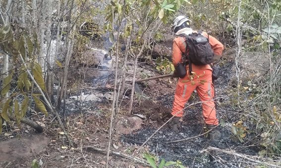 Bombeiros intensificam combate a incêndios florestais em Lençóis