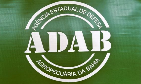 Governo do Estado publica autorização para concurso da Adab com 200 vagas