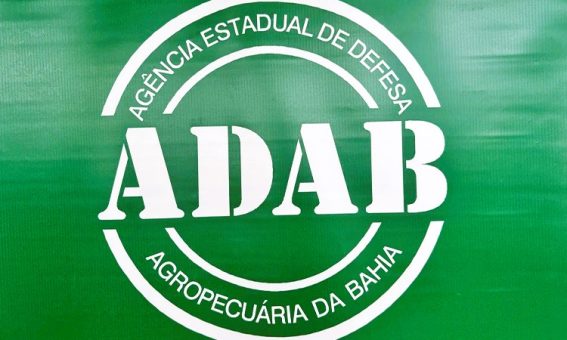 Adab publica edital para contratação via Reda de 241 técnicos de nível médio