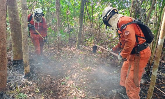 Reda com 46 vagas fortalece a gestão ambiental na Bahia