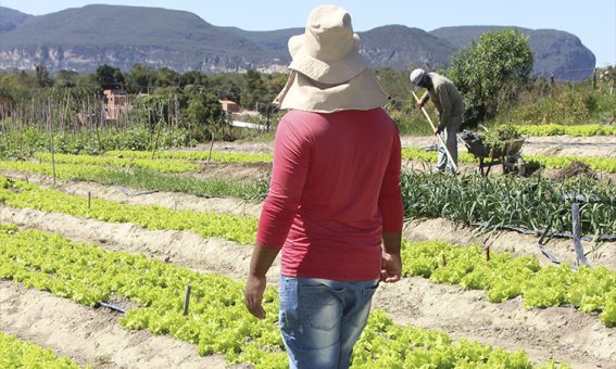 Garantia-Safra será pago a partir de 18 de março para cerca de 214 mil famílias agricultoras baianas