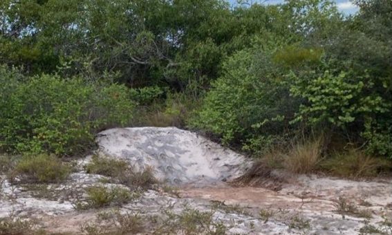 Homem é encontrado sem vida com sinais de agressão em rodovia da Chapada Diamantina